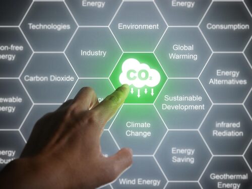 Sustainability & Green Building Project Management Services